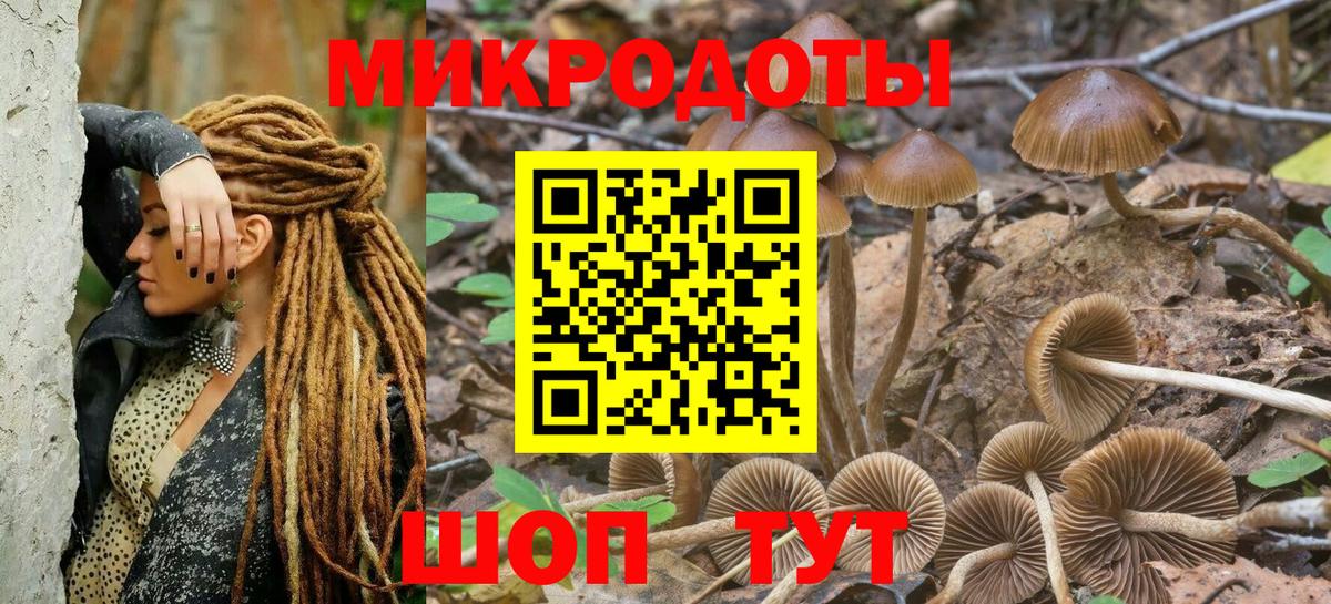 Галлюциногенные грибы ЛСД  Вход с VPN  Галлюциногенные грибы GOLDEN TEACHER  Оренбург 