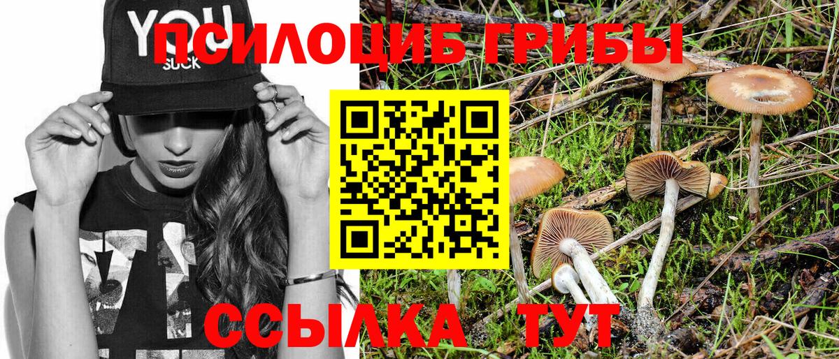 Галлюциногенные грибы мухоморы Оренбург